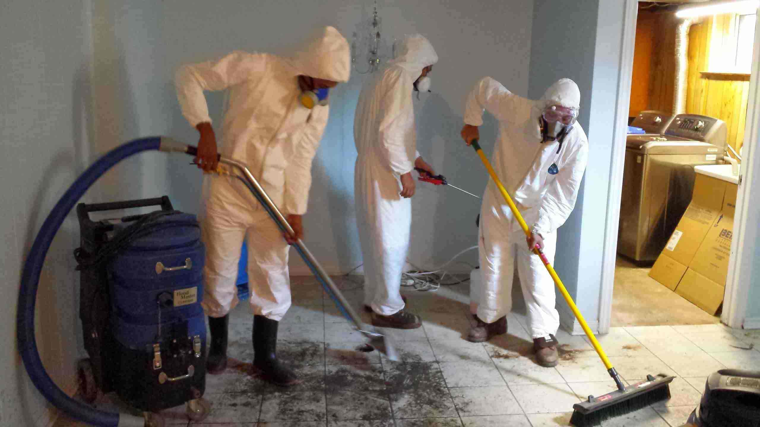 Mold Remediation & Restoration for Beverly Hills | 24/7 Emergency Response
