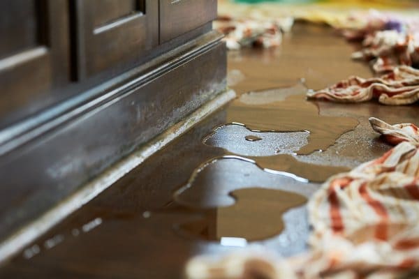 Flood Restoration